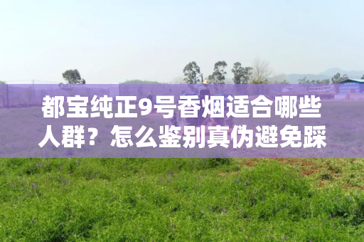 都宝纯正9号香烟适合哪些人群？怎么鉴别真伪避免踩坑？